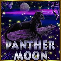 Panther Moon